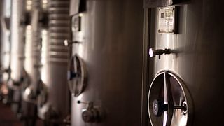 Degustazione di vini e visita della vigna e della cantina a Quinta da Falorca