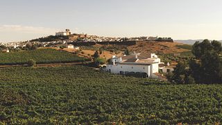 Quinta do Mouro
