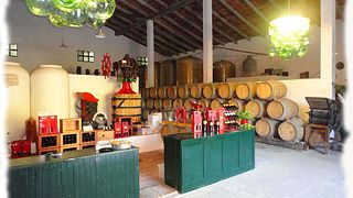Degustazione di vini a Bodegas Rivero