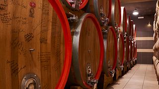 Apollonio 1870: A Legacy of Winemaking