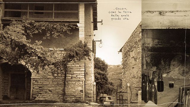 Cata de vinos y visita guiada en Corte Martini