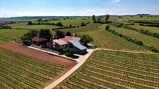Weingut Uhinck - Steigerhof