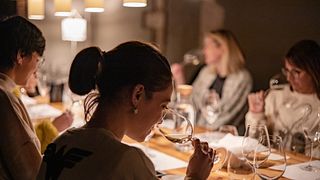 Degustazione di vini e visita al Vins El Cep