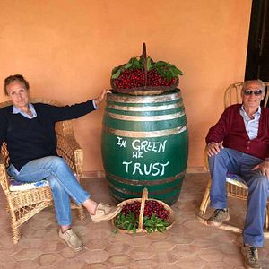 Cata y visita de vinos y aceites Evo en Tenute Pacelli