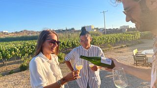 Luna Piena - Vino e Cena in Vigna