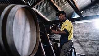 Cata de vinos y visita guiada a la bodega Chambers Rosewood