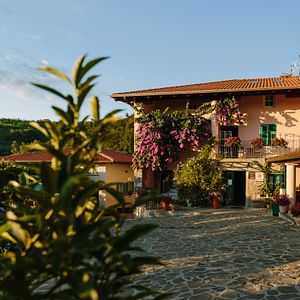 Dégustation de vins et visite des vignobles Stekar