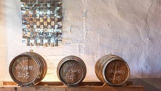 Weinprobe und Besichtigung in der Fattoria Di Bacchereto