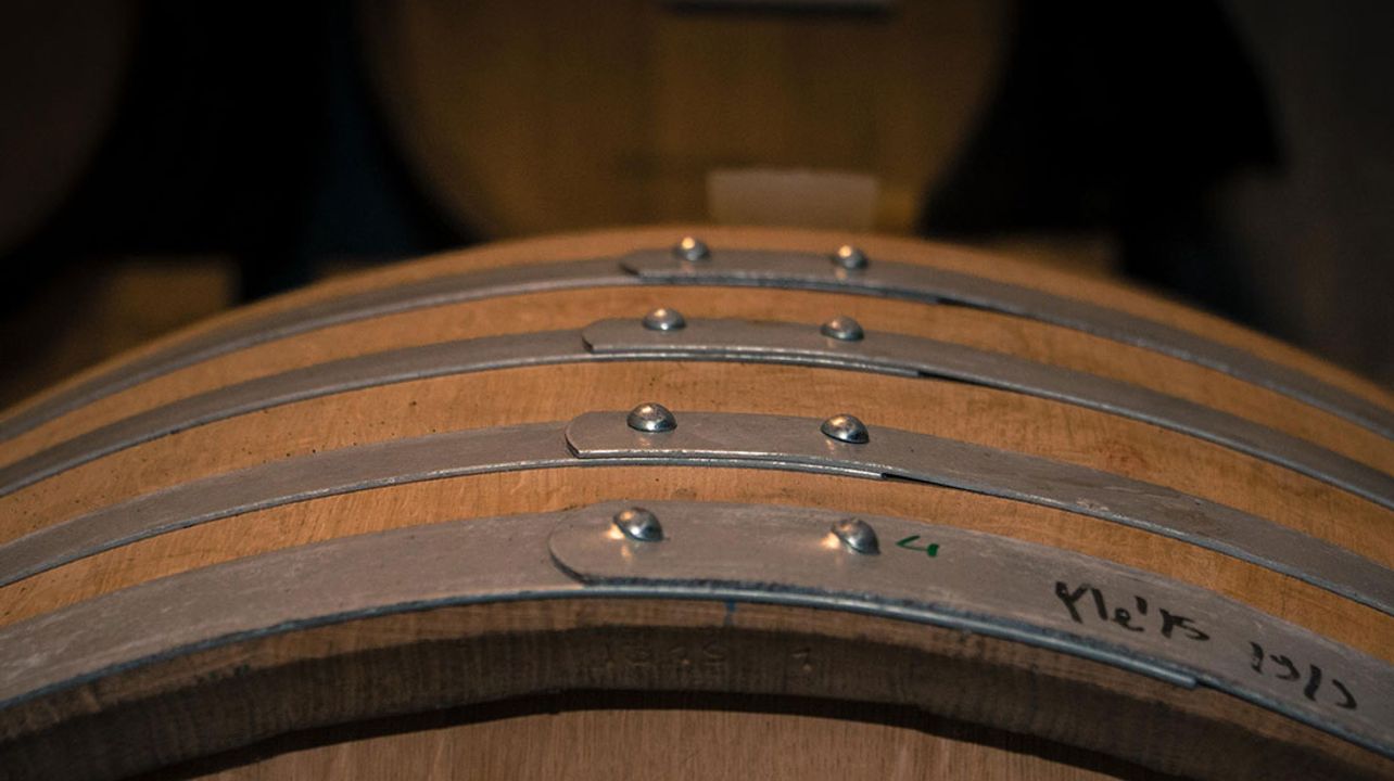 Degustazione di vini e tour a Le Due Torri