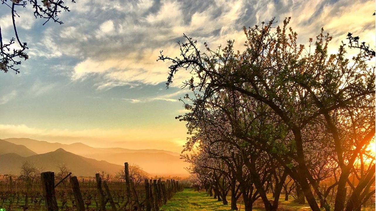 Antiyal Winery