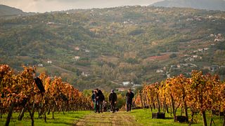 Villa Raiano Winery