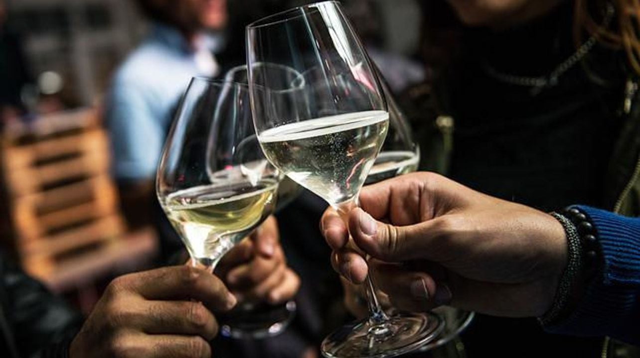 Tour Privado 3 Vinícolas Penedes saindo de Barcelona