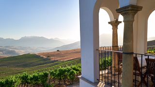 Bodega Ramos-Paul: A Gem in Andalusia