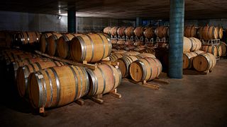 Degustazione e visita a Monti