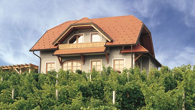 Degustazione tra i vigneti a Kunej
