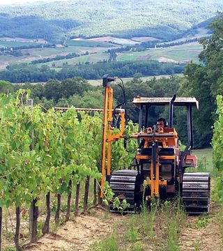 Weinprobe und Kellerbesuch im Tenuta Castelnuovo Tancredi 