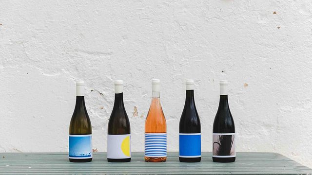 Almuerzo con maridaje de vinos y visita al viñedo