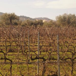 Stay at the Charming Country House of Biopaumera