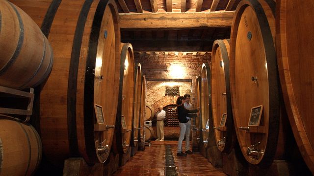 Visit and Wine Tasting Vino Nobile di Montepulciano at Palazzo Vecchio