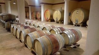 Tenuta Cappellina