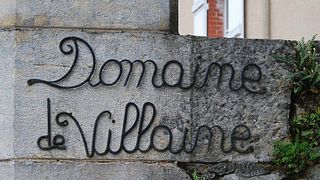 Dégustation et visite des vins du Domaine De Villaine