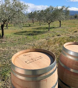 Degustazione di vini, abbinamenti di cibi locali e tour al Domaine de Mas Caron