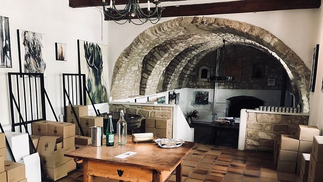 Cata de vinos y visita guiada en Weingut Peter Schandl