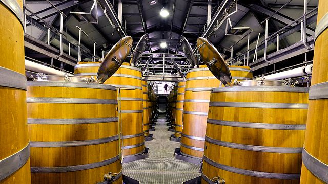 Degustação de vinhos e tour na Capaia Wines