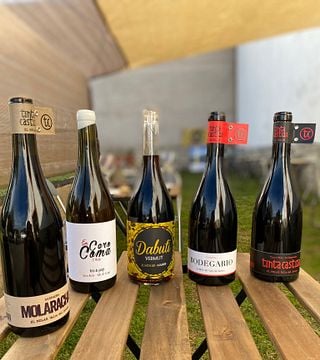 Madrid Wine & Fusion Tapas Tasting Journey