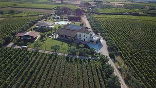 Weinprobe und Tour bei Fontefico