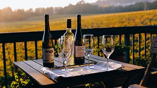 Vinho Verde Quick Tasting & Local Pairings at Vilacetinho