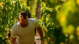 Margarethenhof - Weingut Weber