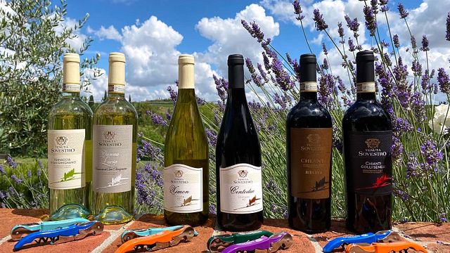 Dégustation de vins à San Gimignano