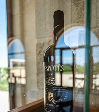 I Due Re Del Salento - Weinprobe und Verkostung lokaler Spezialitäten, Führung durch die Weinberge und Masseria von Torleanzi