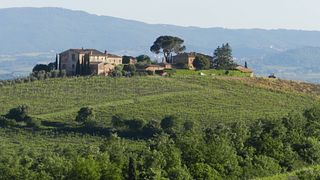 Visit and Premium Wine Tasting of the Nobile di Montepulciano at Palazzo Vecchio