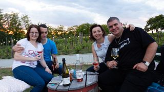 Cata de vinos y visita a la bodega Csetvei