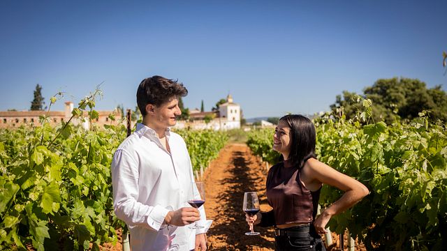 Bodega Raíces Ibéricas (Finca Calderón)