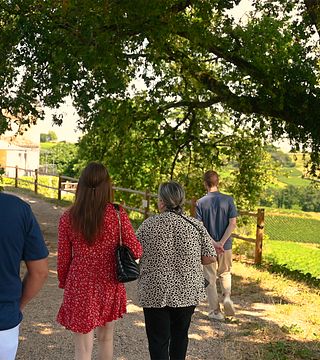 Château La Croizille, St Emilion Grand Cru Classé:visita e degustazione
