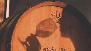 Tour e degustação de vinhos premium CSM