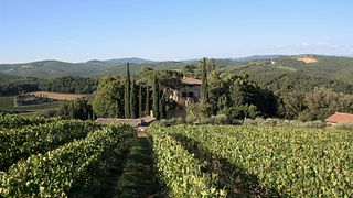 Tuscan Chianti Escape: Wine Tour & Tasting at Aiola