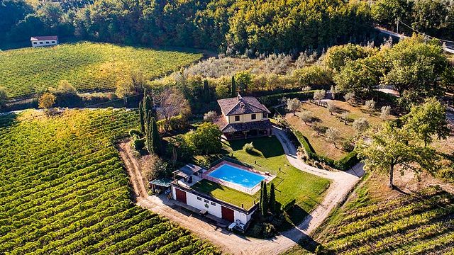 Recorrido por viñedos y vinos orgánicos de la Toscana + 5 degustaciones de vinos acompañadas de un almuerzo de pasta en Manvi