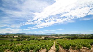 Clos Bellane