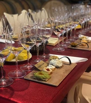 Málaga Wine Tour: Organic Vineyard, 6 Wines, Oils & Tapas