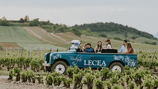 Visita à vinha com aperitivo e atividade vínica + adega e prova de vinhos