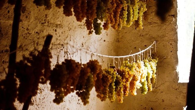 Degustação de vinhos clássicos e tour na Tenuta Valdipiatta