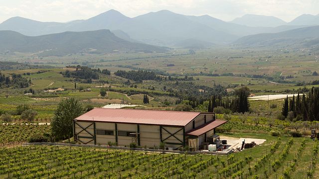 Venikos
