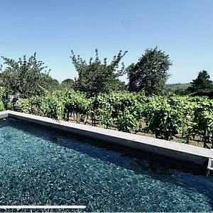 Palmento San Nicolò: A Vineyard Retreat Like No Other