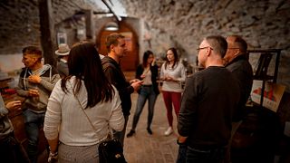 Tour del vino del valle de Vipava