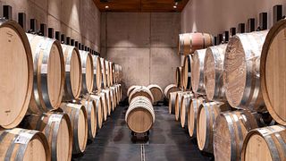 Weinprobe in La Nascosta
