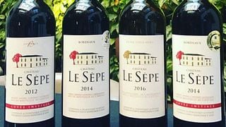 Vinprovning och rundtur på Château Le Sèpe